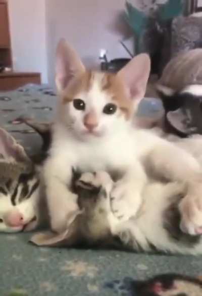 Любовь это...