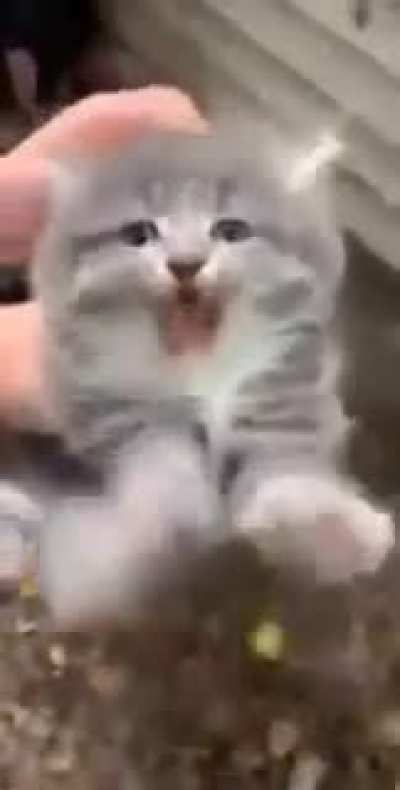Awww he’s not happy.
