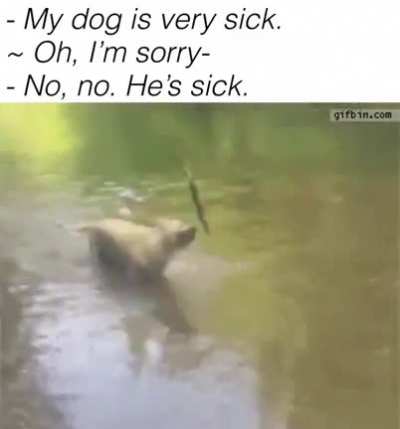 He got some sick moves mates