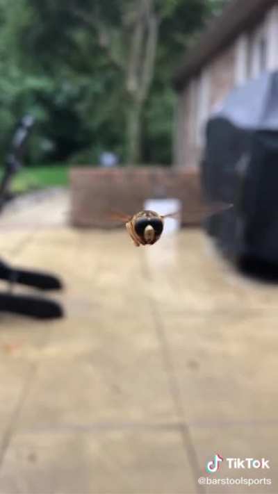 Incoming!