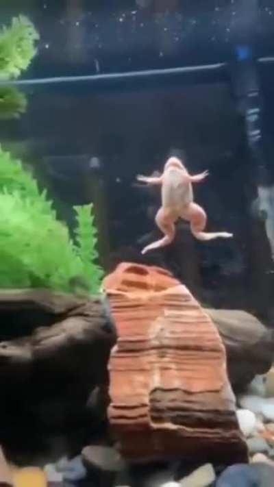 My last braincell while i hear Touch