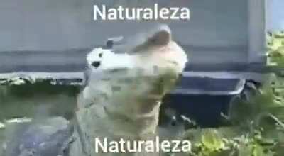 Naturaleza