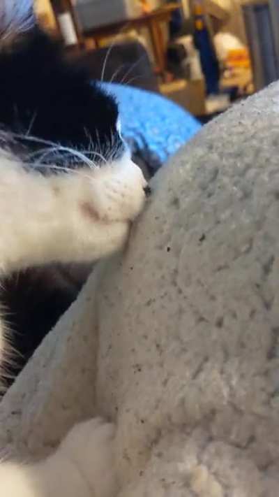 Velcro tongue