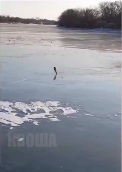 Very skilled bottle