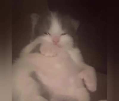 Bro