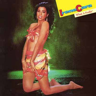 Flashdance... What a Feeling Irene cara