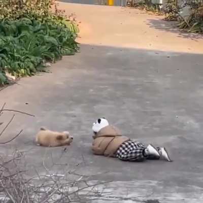 Smol frens..
