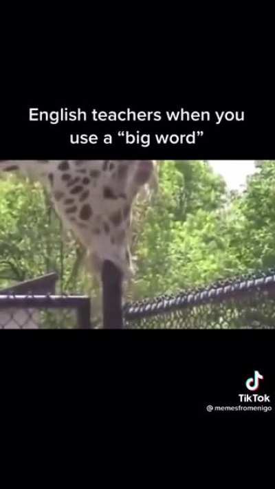 Teachers🤬🤬🤬