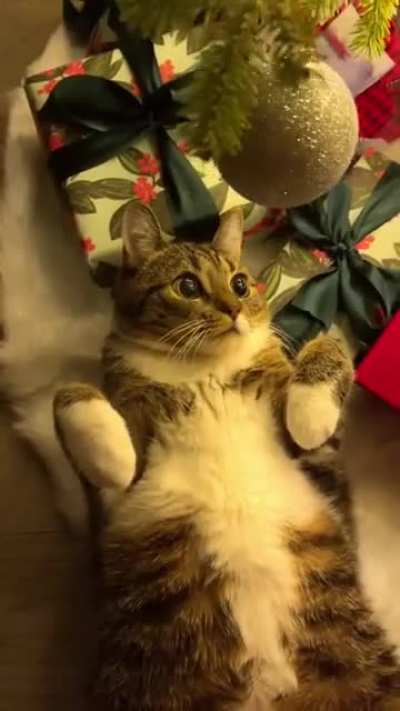 😸