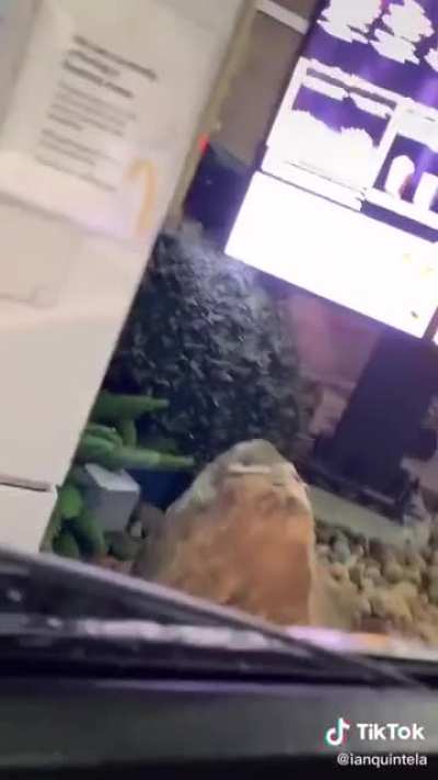 The employees have had enough