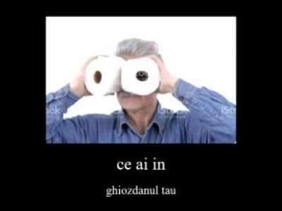 bazat pe  