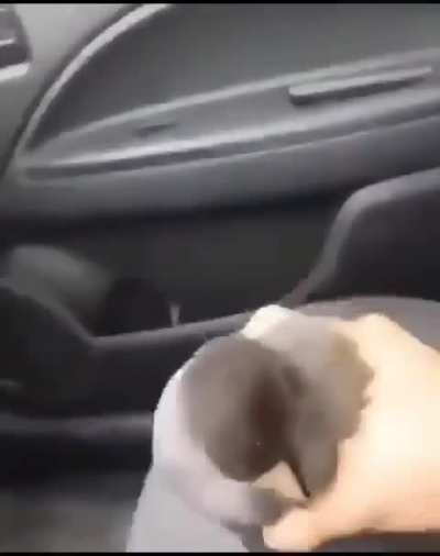 ‎