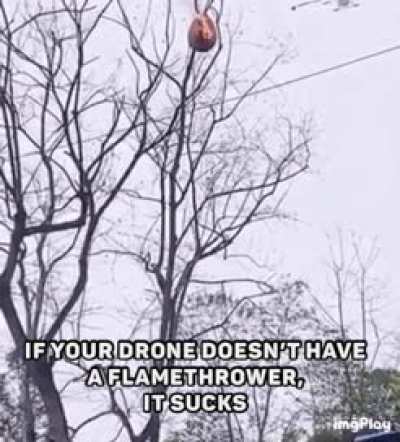 Who agrees?