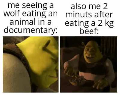 if you're vegan, sorry