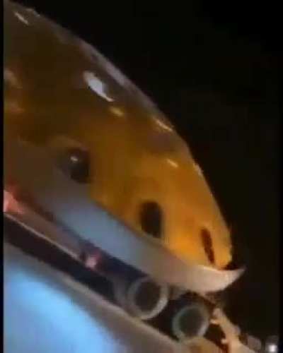 Wait, is that a UF.........