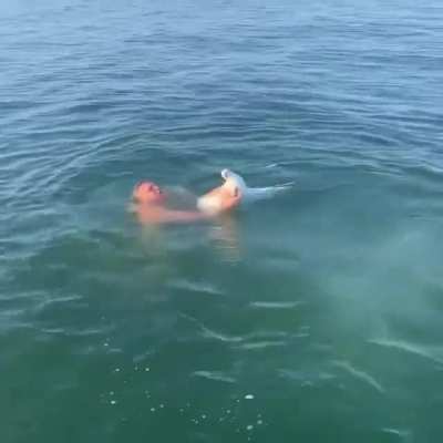 Hmb while I go 