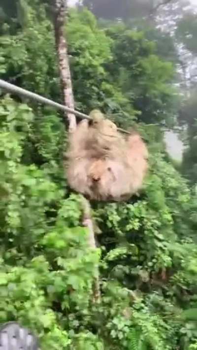 Wait for it !
