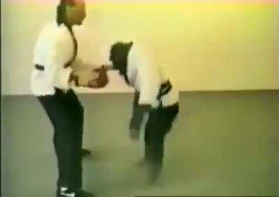 Man teaches monkey kick-boxing