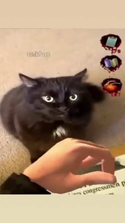 You got attacked