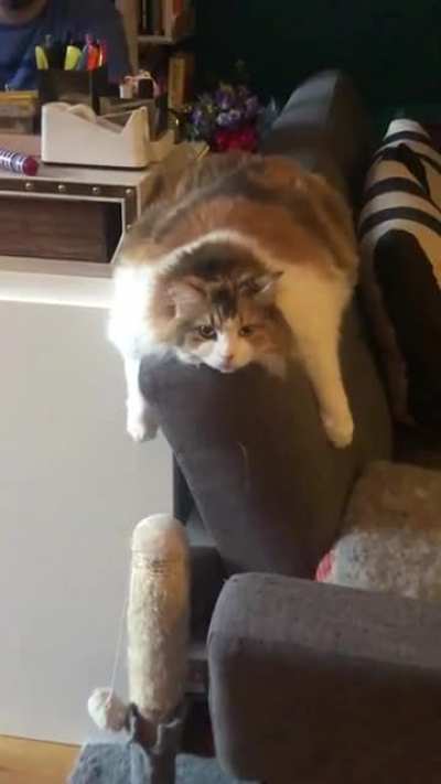 Лепёшка