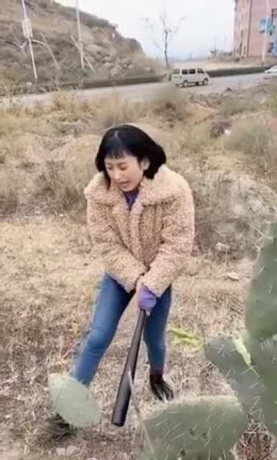 'I'm so bad, I'm gonna damage a plant for absolutely no reason'