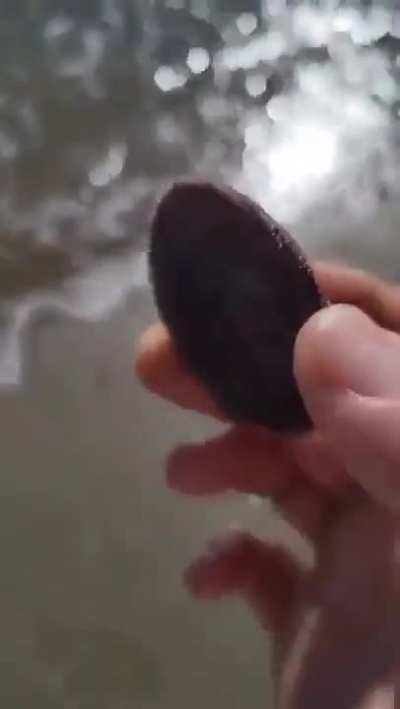 The ocean is a world of mysteries!