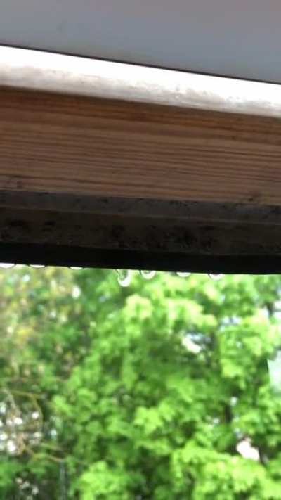 The sound of rain is so relaxing