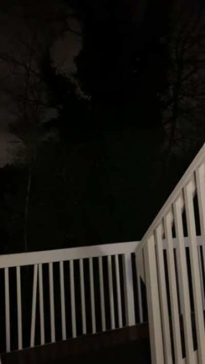 *sound on* we hear this every night between 12am-3am...what the heck is it??