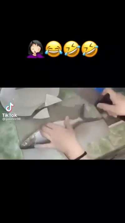 It is so very funny (upvote)