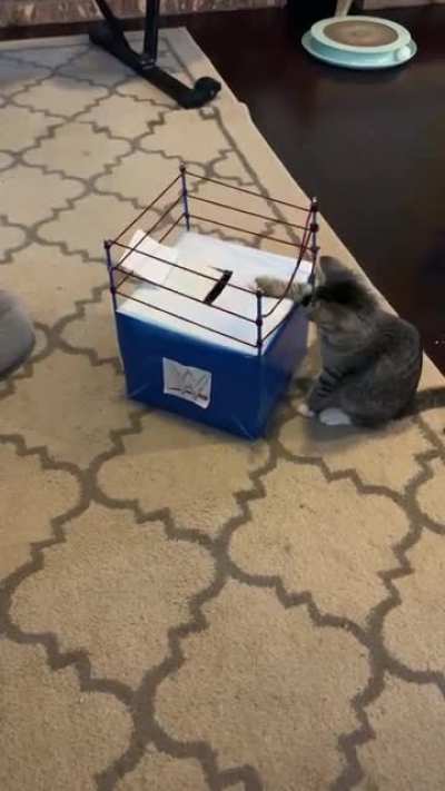 Sunday morning smack down
