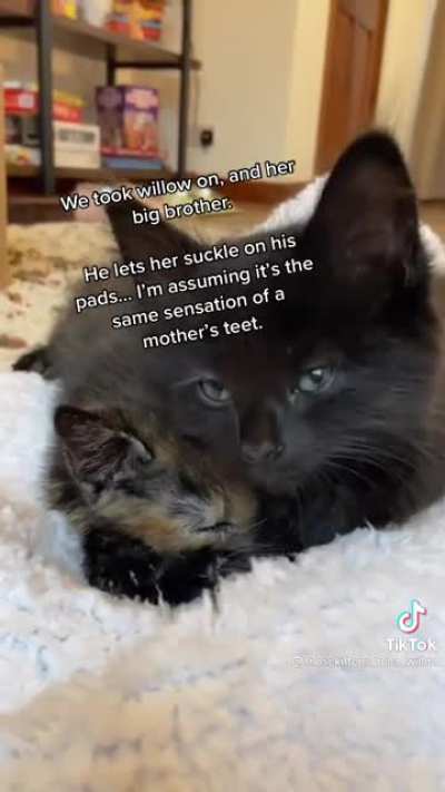 Awww 🔊