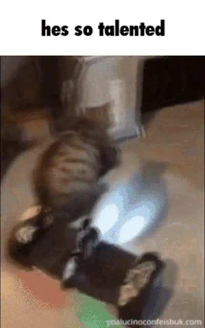 what the cat doin ?