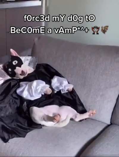 Vamp Walter!