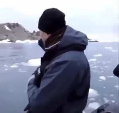 Blursed Penguin