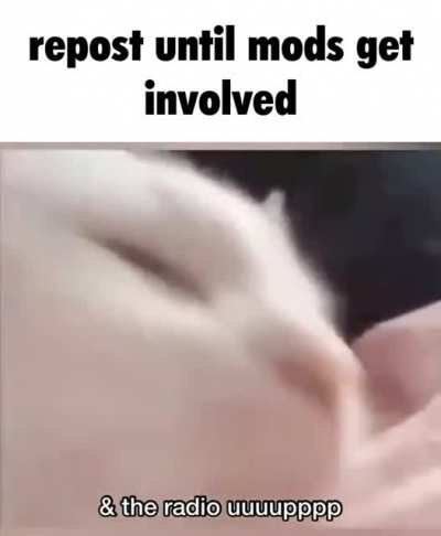 repost rule