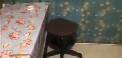 Прогр<wbr>амма 