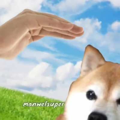 Bom dia