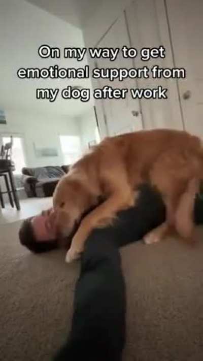 Best therapy