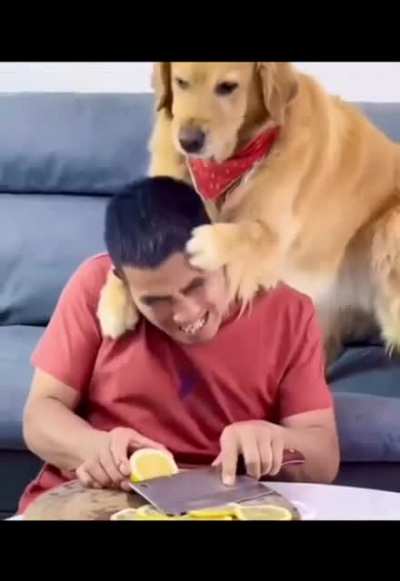 Pawsitively Rude