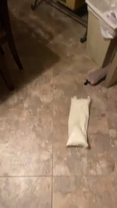 Cum bag