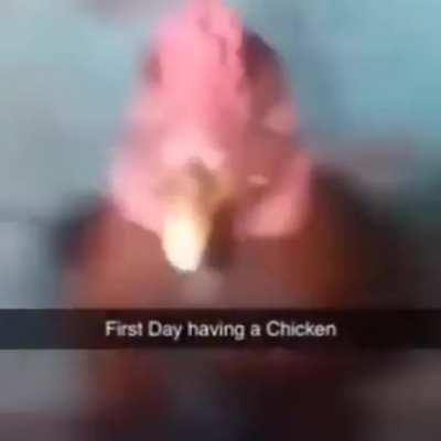 Blursed_chiken