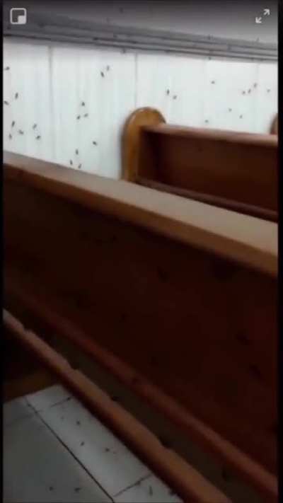 What do you think caused this to happen?