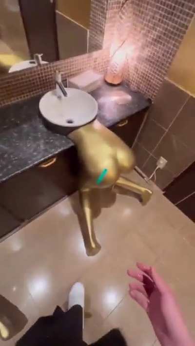Bathrooms In Japan…