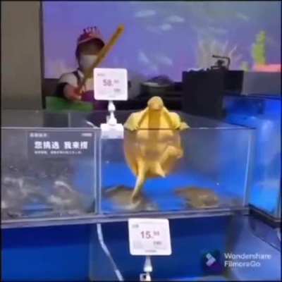 this but the turtle is my peen… and the stick is still the stick… and the woman is still the woman….🤤🤤🤤