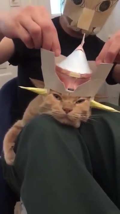 Use my head for a spaceship landing