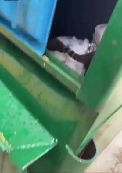 Hi fren