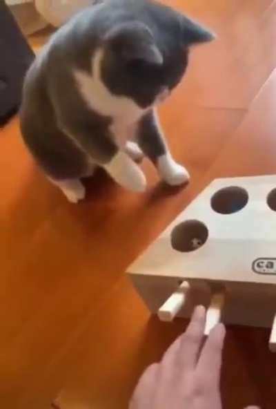 Sorry Cutie you get Shocked !