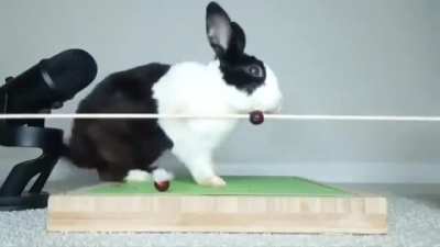 A graceful nibble.