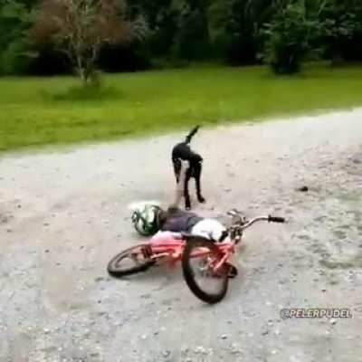 Всё норм!