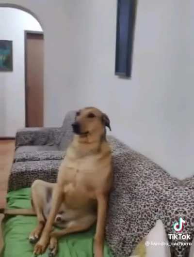 eu_nvr